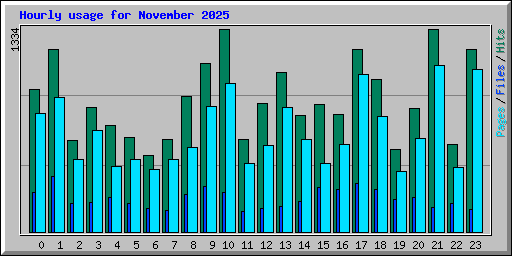 Hourly usage for November 2025