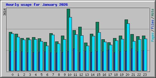 Hourly usage for January 2026